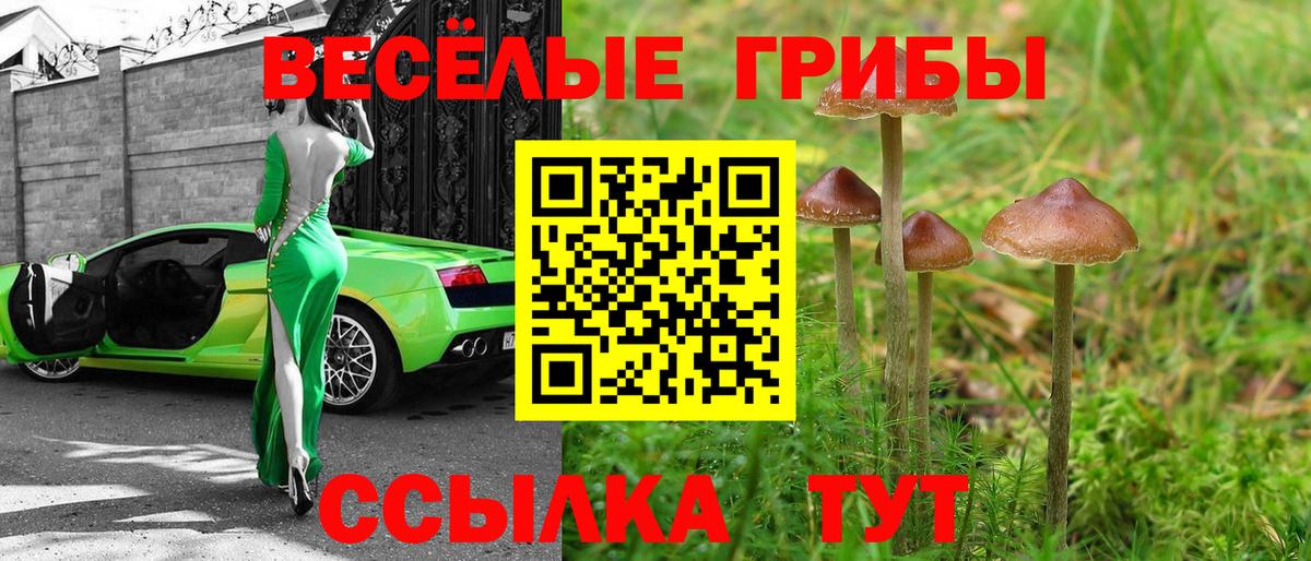 наркошоп  Псилоцибиновые грибы Psilocybine cubensis  Вход с VPN  Псилоцибиновые грибы GOLDEN TEACHER  Ртищево 